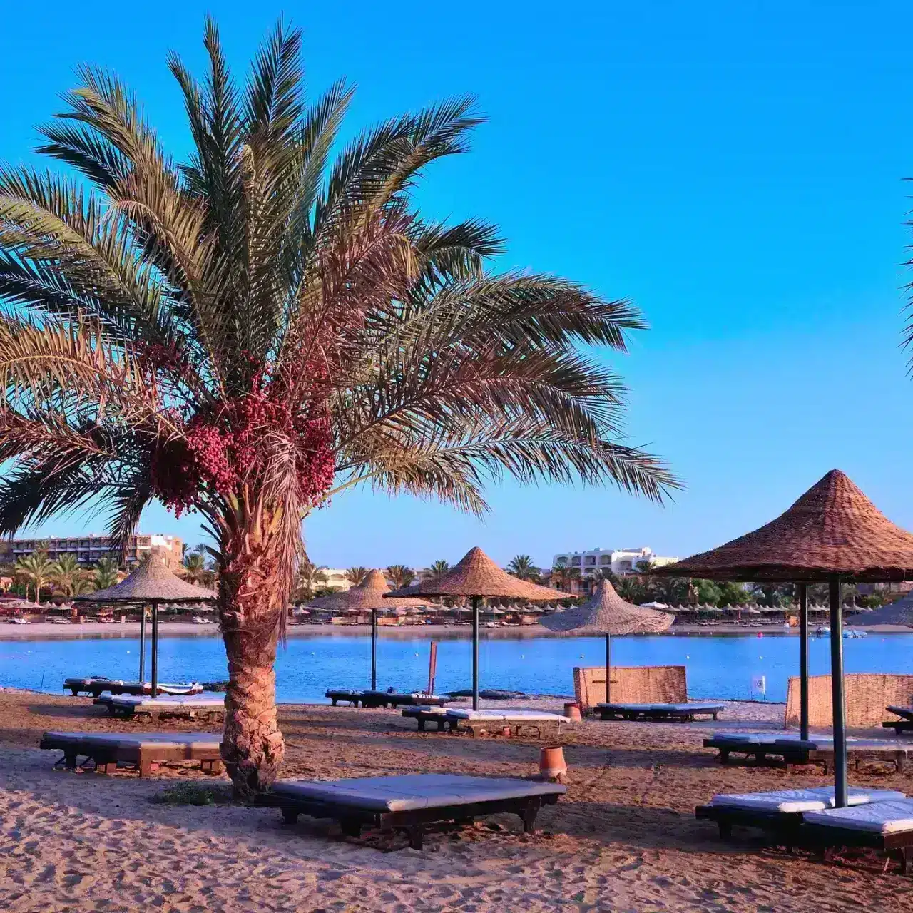 https://www.zonvakantiemoment.nl/app/uploads/2023/01/Egypte-1280x1280.webp