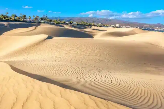 Dunas de Maspalomas https://www.zonvakantiemoment.nl/app/uploads/2024/05/Dunas-de-Maspalomas-640x426.webp
