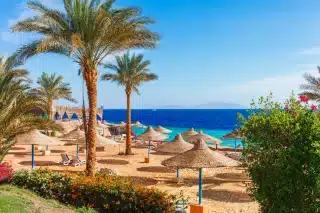 https://www.zonvakantiemoment.nl/app/uploads/2024/08/Foto_s-voor-blog-_39_-320x213.webp