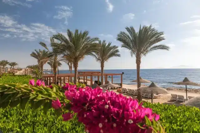 Zonvakantie onder €250